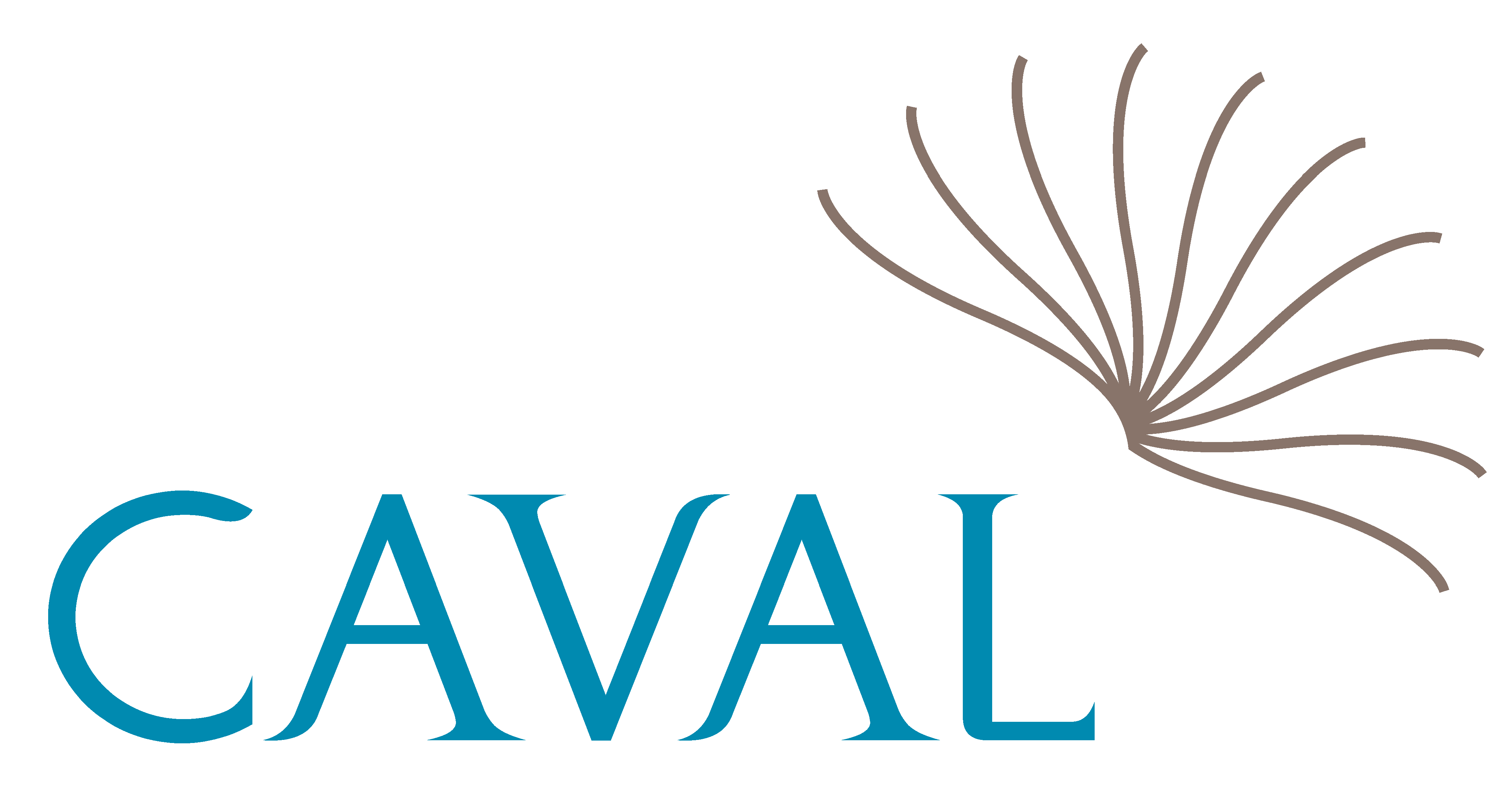 CAVAL - Booth 30